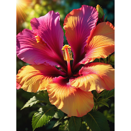 Fargerik hibiskusblomst