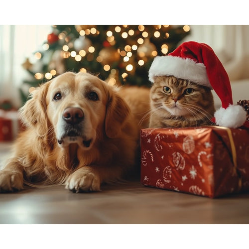 Katt og Hund i julen