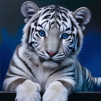 Tigerunge
