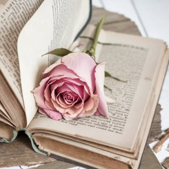 Rose blomst i bok