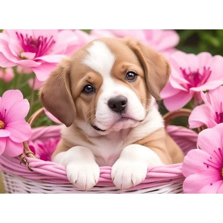 Valp blant blomster
