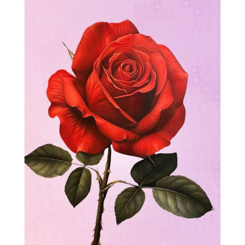 Vakker rose