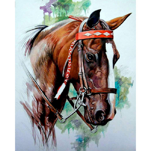 Hest