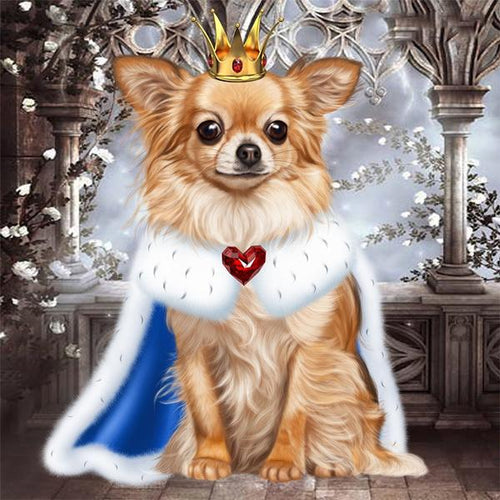 Hund med dress