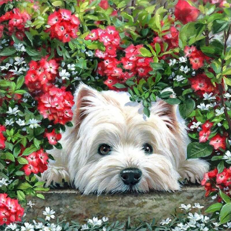 Hund under blomster