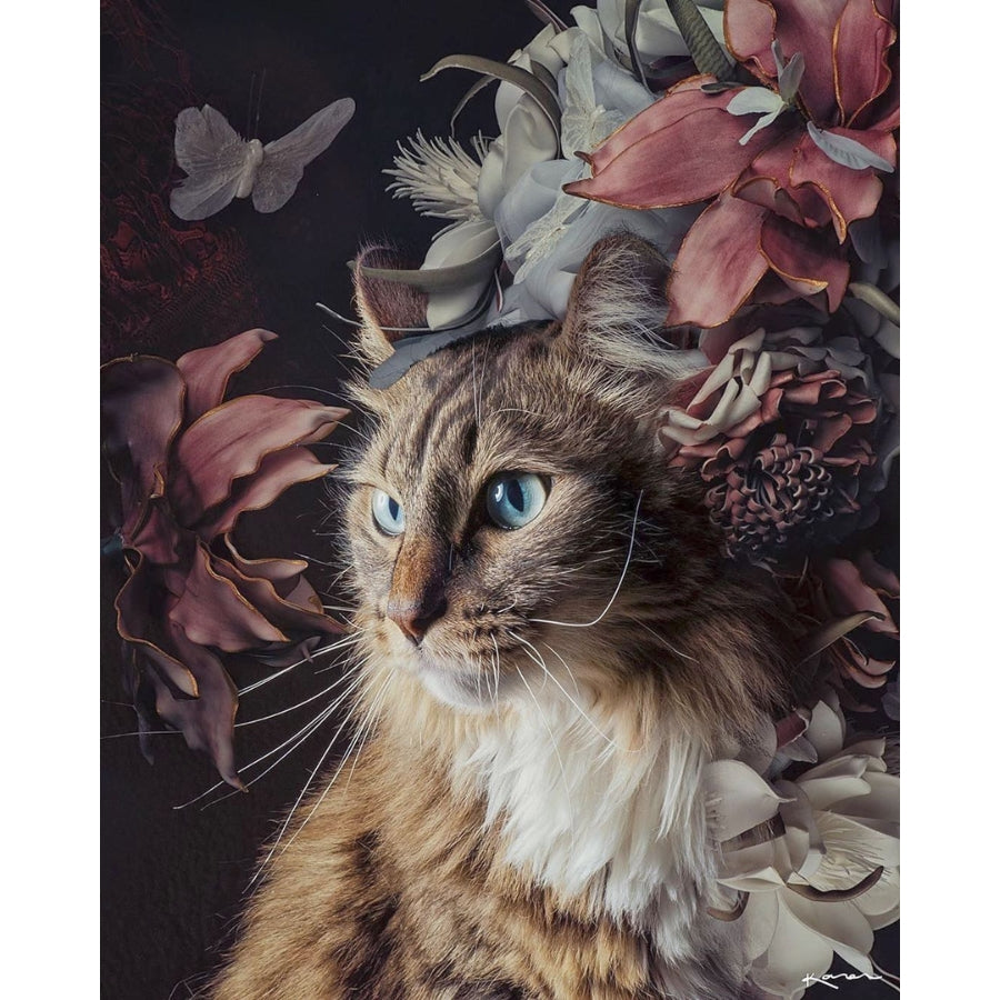 Katt med blomster