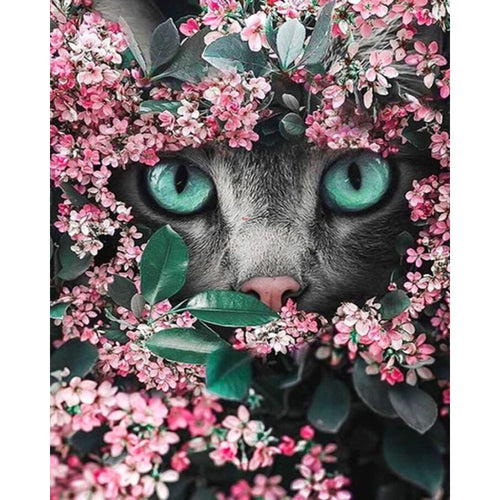Katteøyne blant blomster