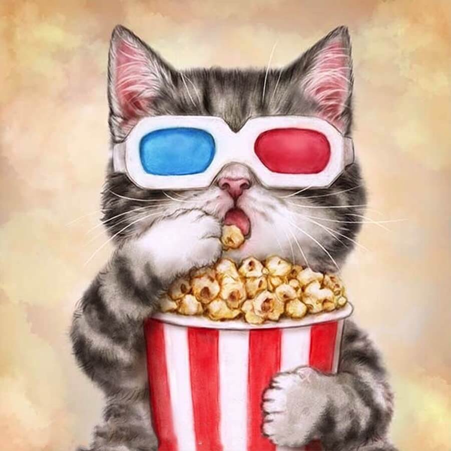 Katt på kino