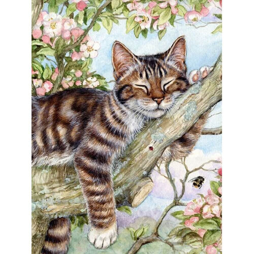 Sovande katt
