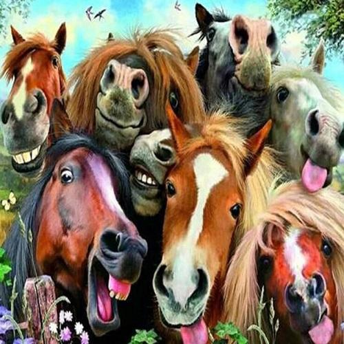 Häst Selfie Diamantmålning | Eget foto diamantmålnings | Diamond painting | Fyndiq | Sverige