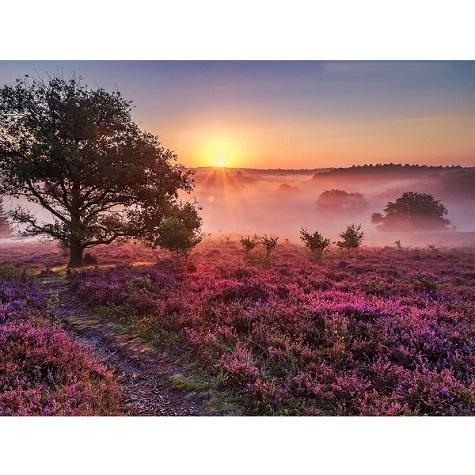 Holländska Veluwe Diamantmålning | Eget foto diamantmålnings | Diamond painting | Fyndiq | Sverige